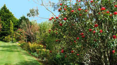 2 acres of manicured gardens at Caniwi Lodge